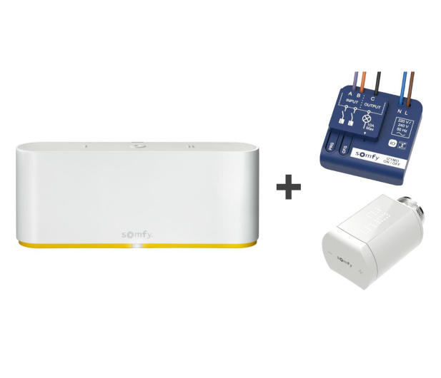 Somfy Zestaw do sterowania - Tahoma Switch + Głowica + Odbornik - 1089292 - zdjęcie